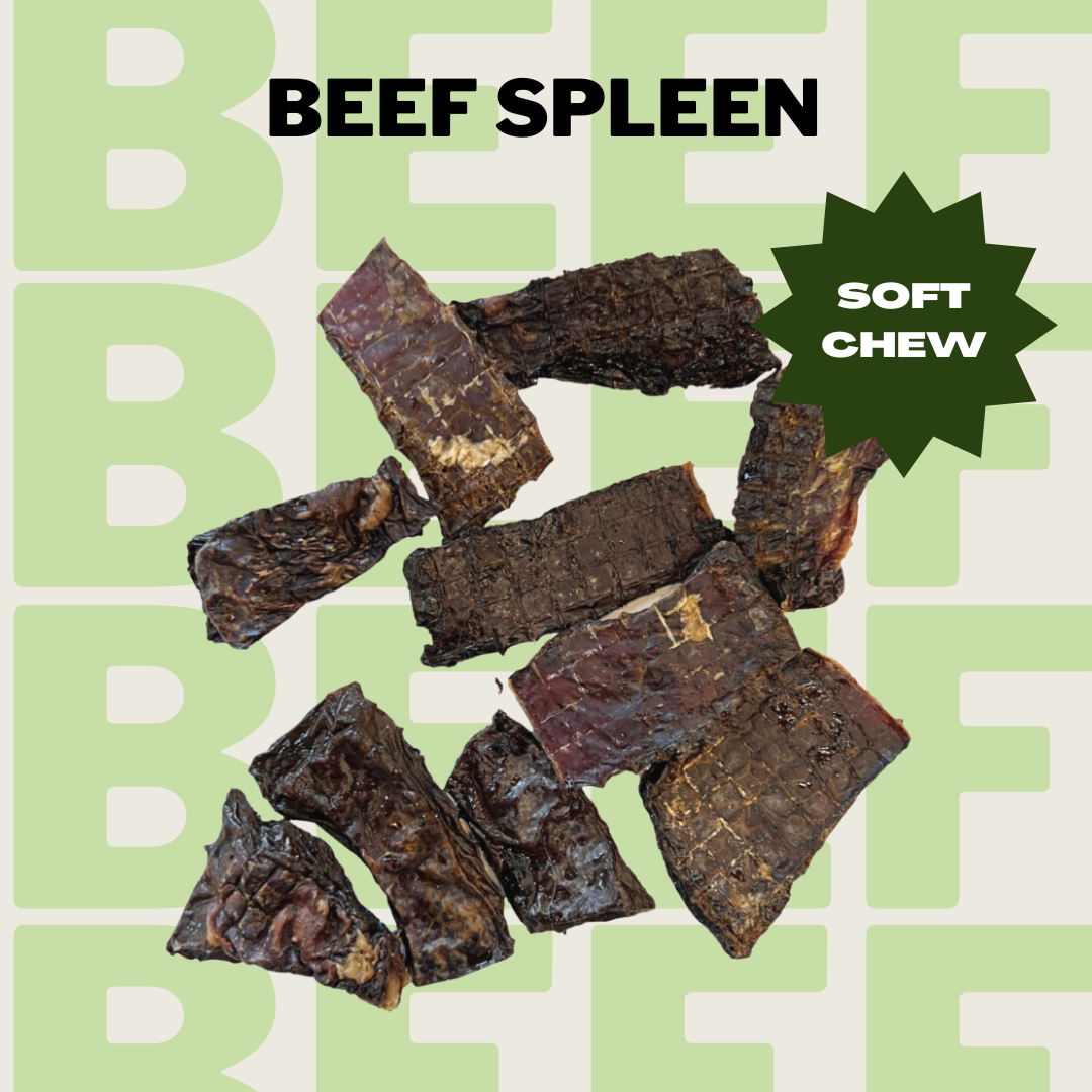 Beef Spleen