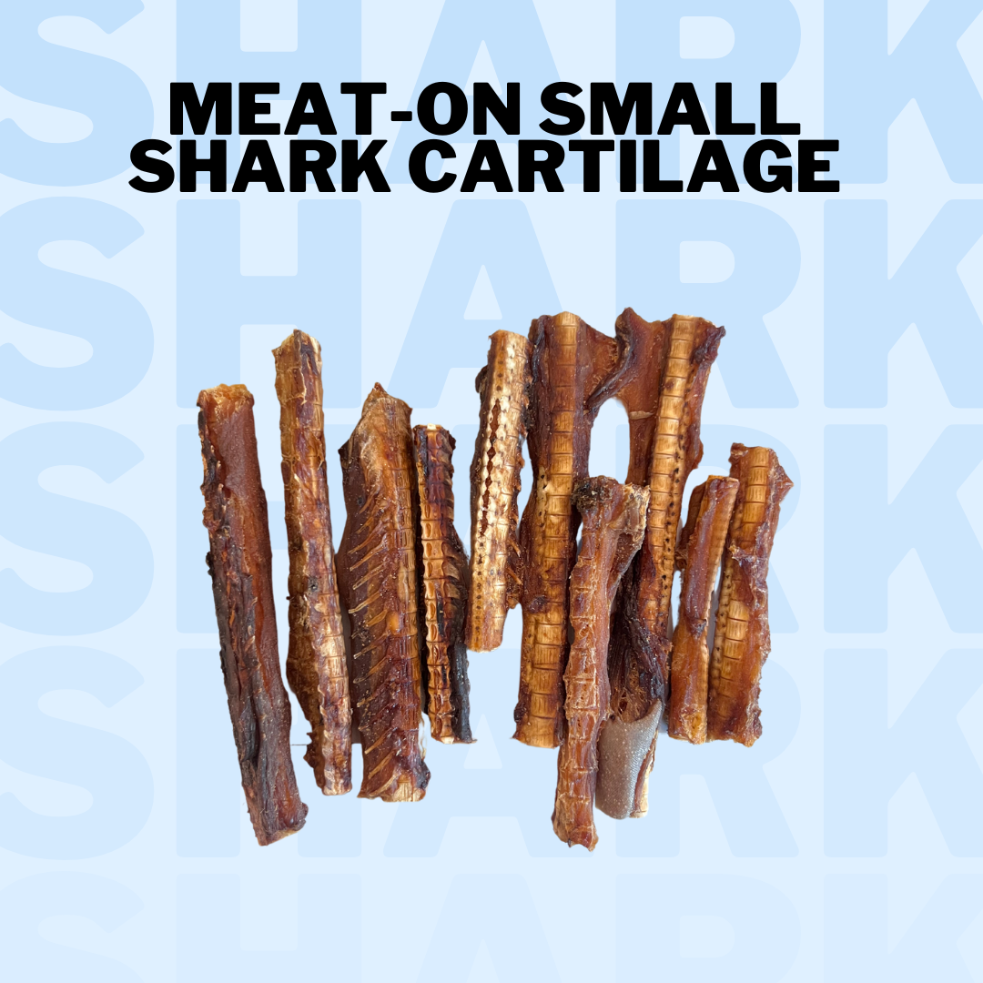 Shark Cartilage