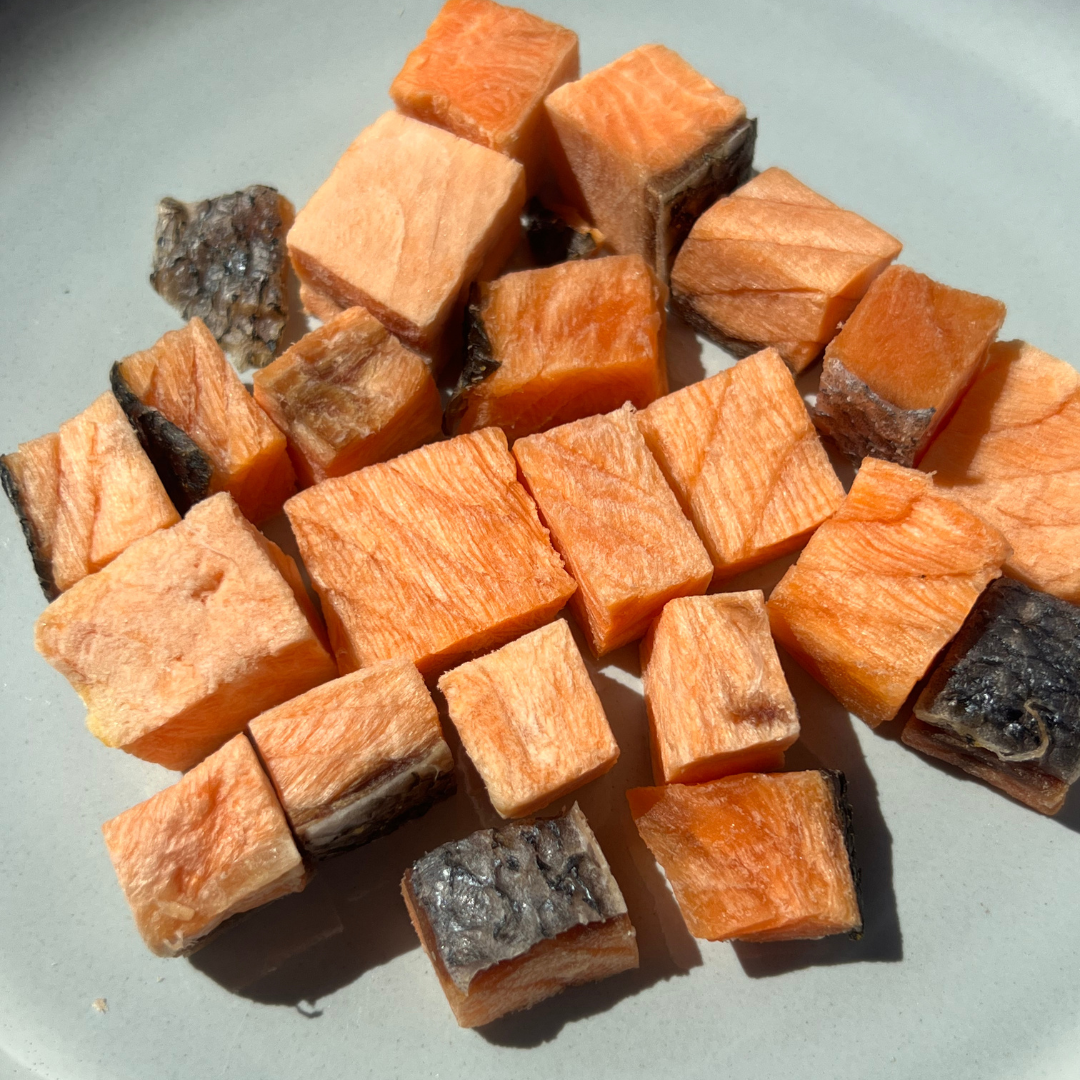Freeze-Dried Salmon Jerky