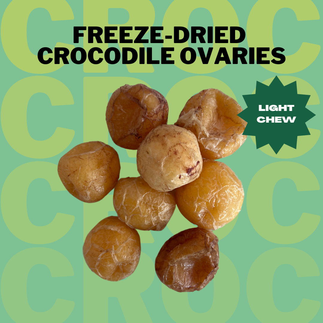 Freeze-Dried Crocodile Ovaries [Seasonal Item]