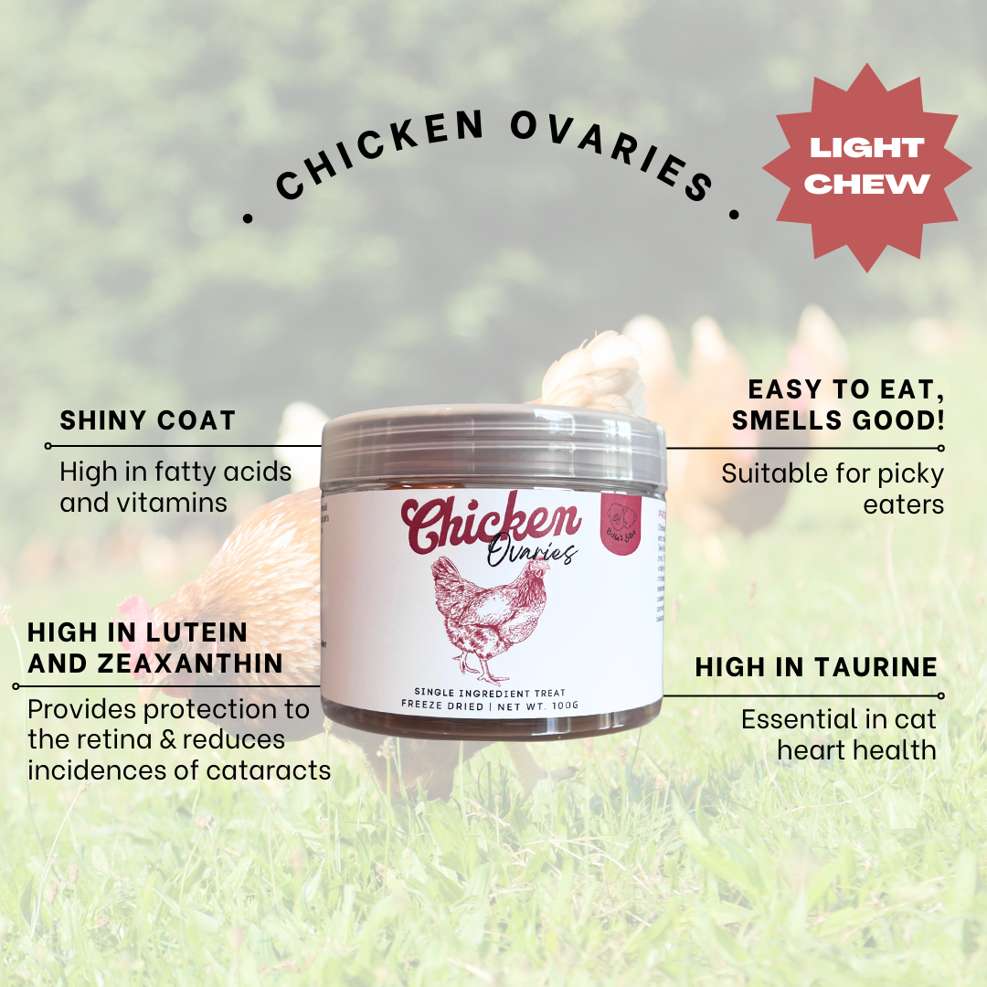 Freeze-Dried Chicken Ovaries