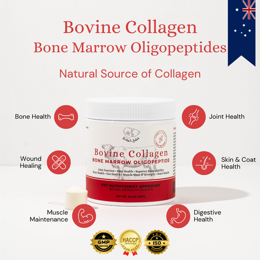 Bovine Collagen