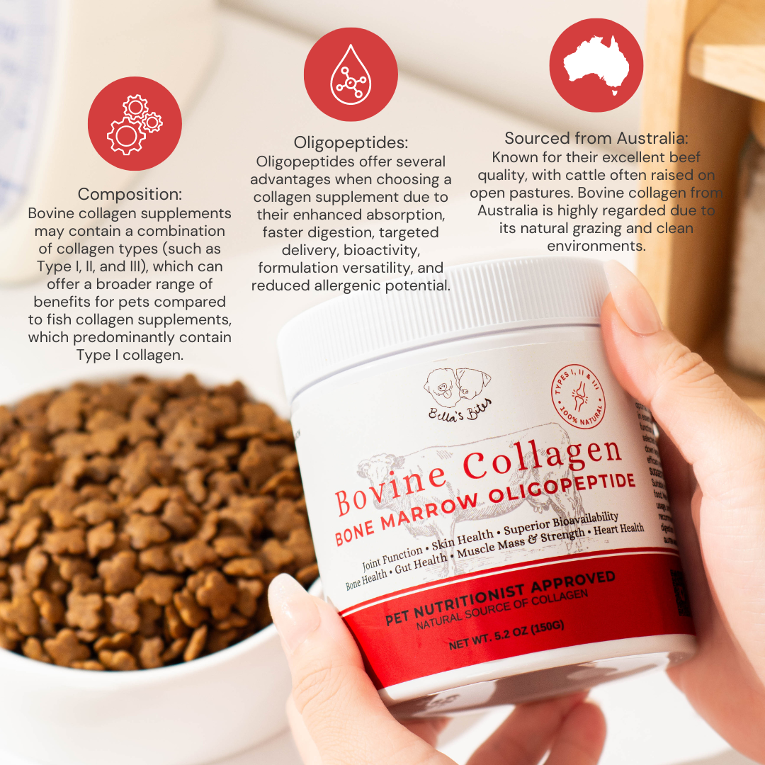 Bovine Collagen