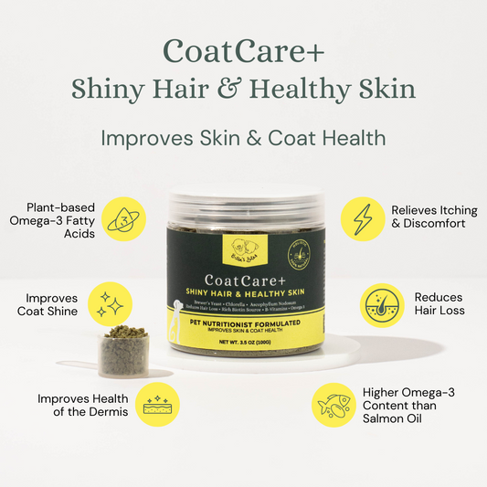 CoatCare+ [Skin & Coat Health]