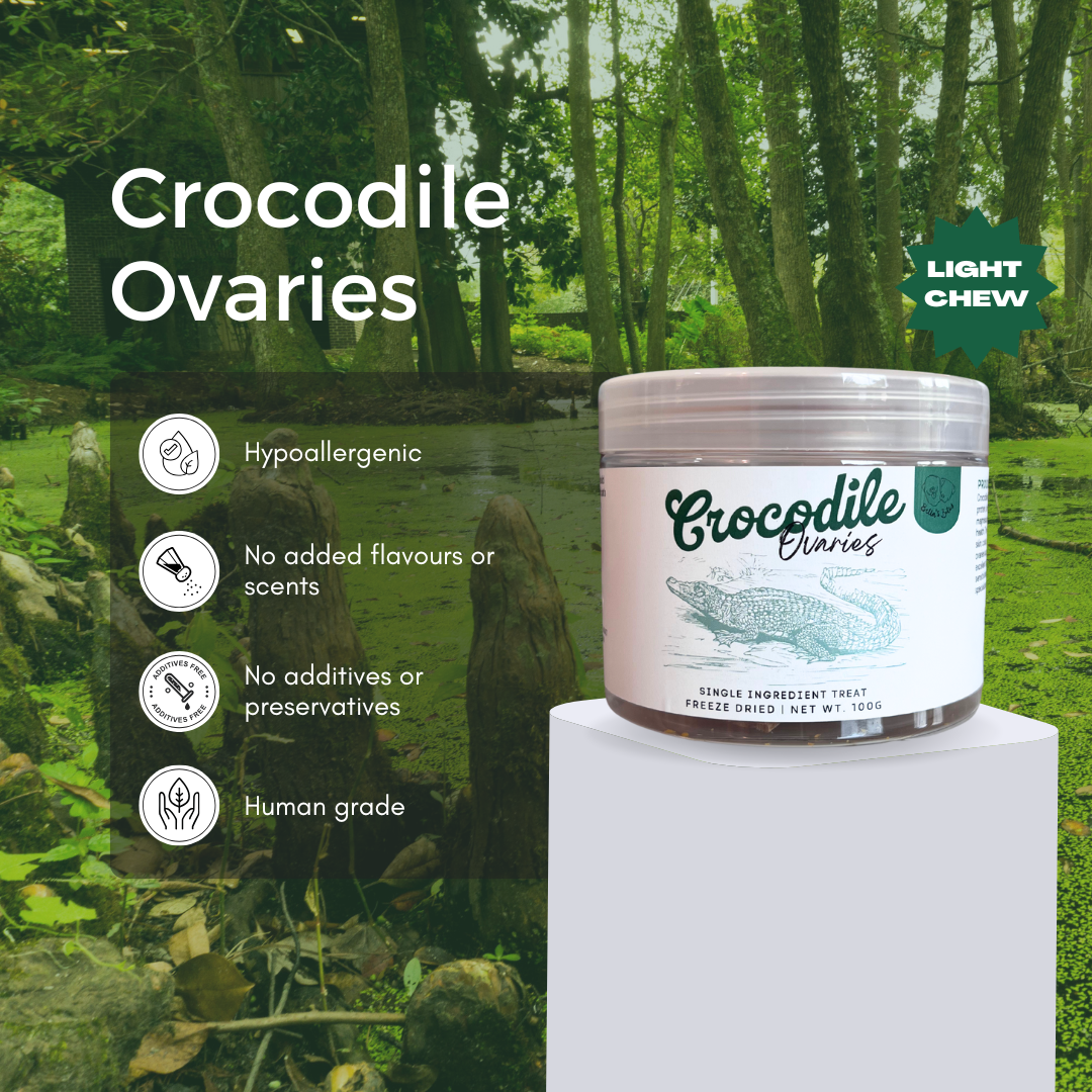 Freeze-Dried Crocodile Ovaries [Seasonal Item]