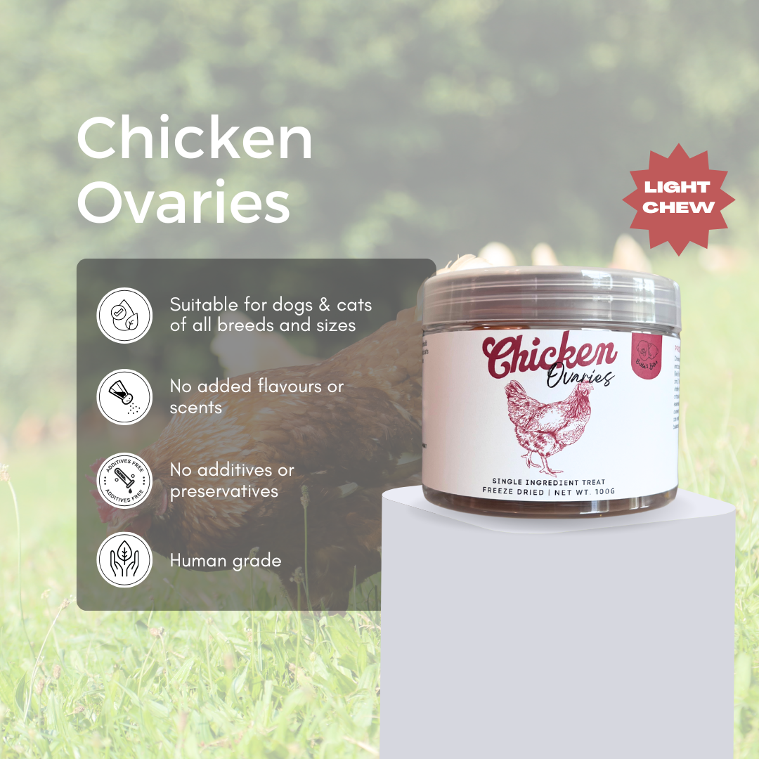 Freeze-Dried Chicken Ovaries