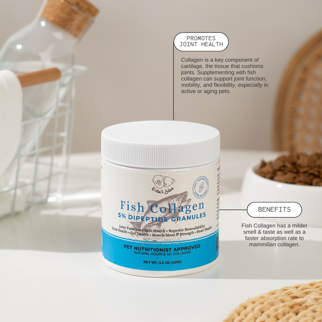 Fish Collagen