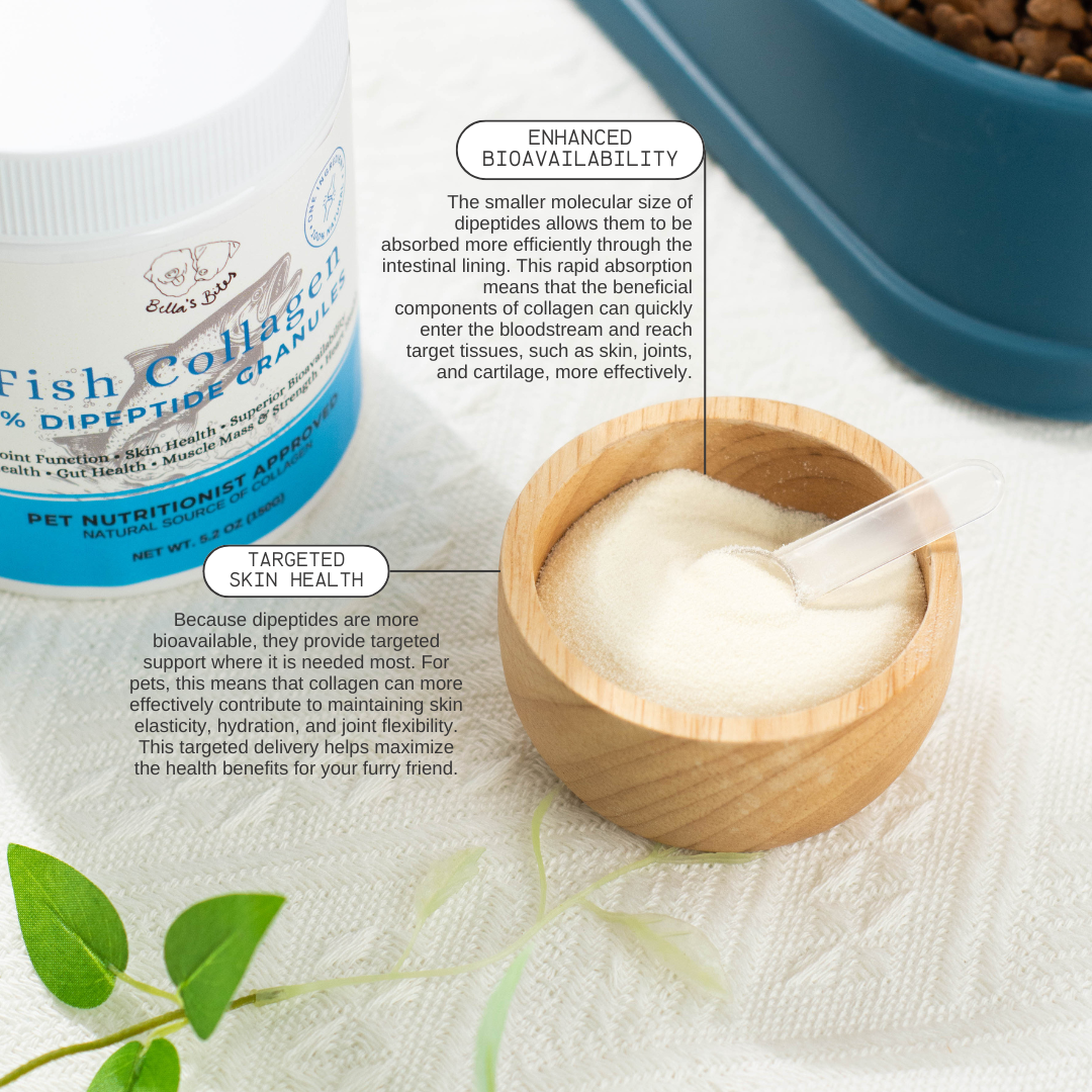 Fish Collagen