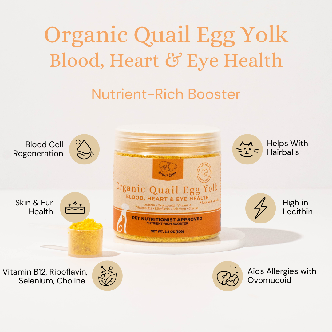 Quail Egg Yolk Powder