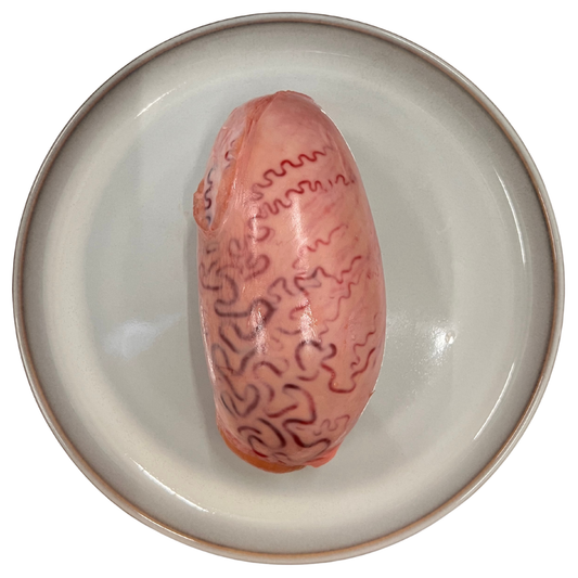 Raw Beef Testes