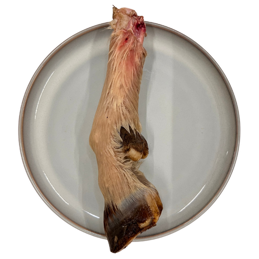 Raw Lamb Leg
