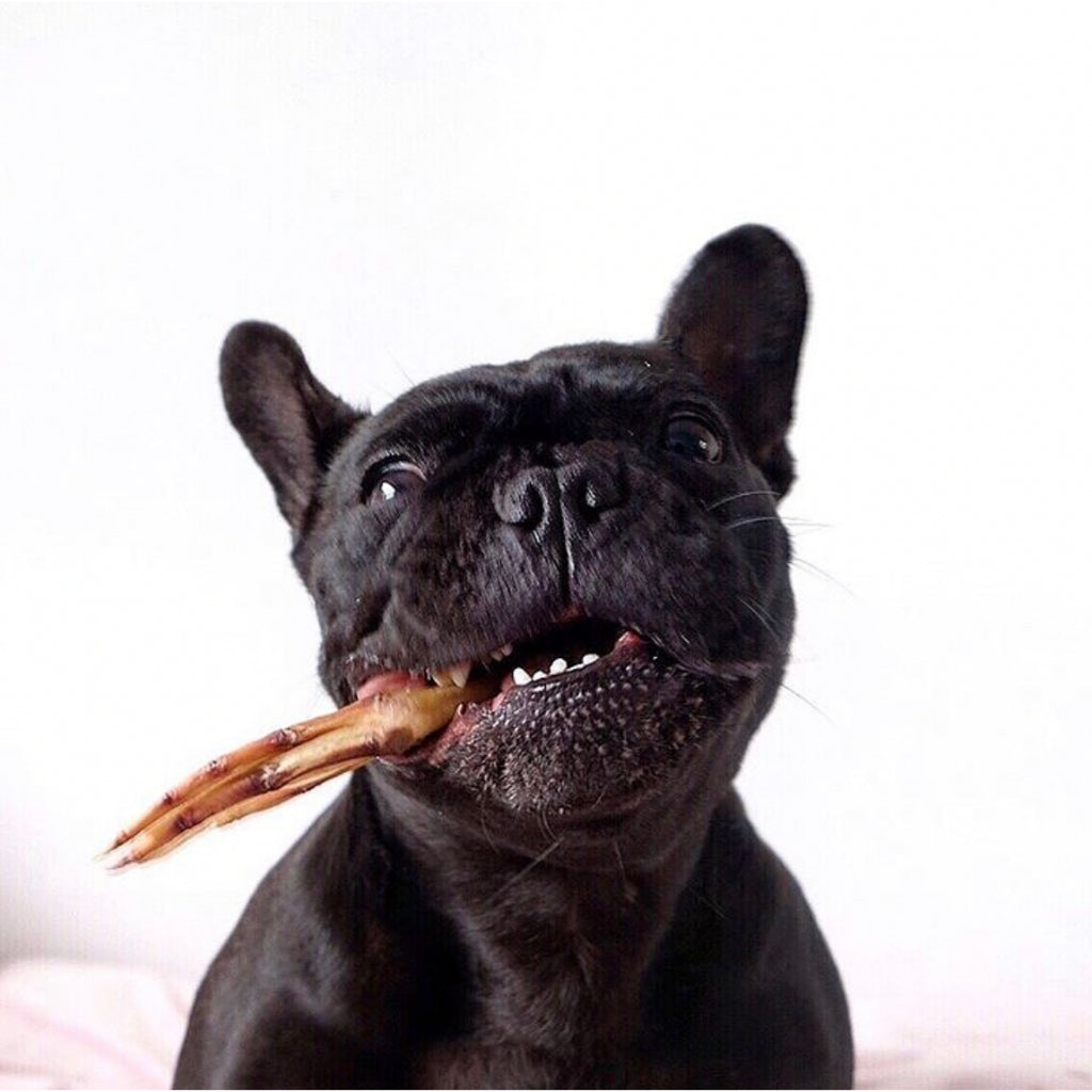 Air-Dried Duck Feet