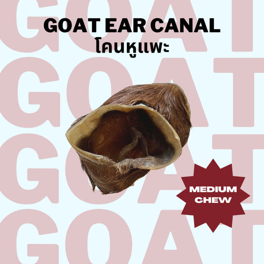 Goat Ear Canal