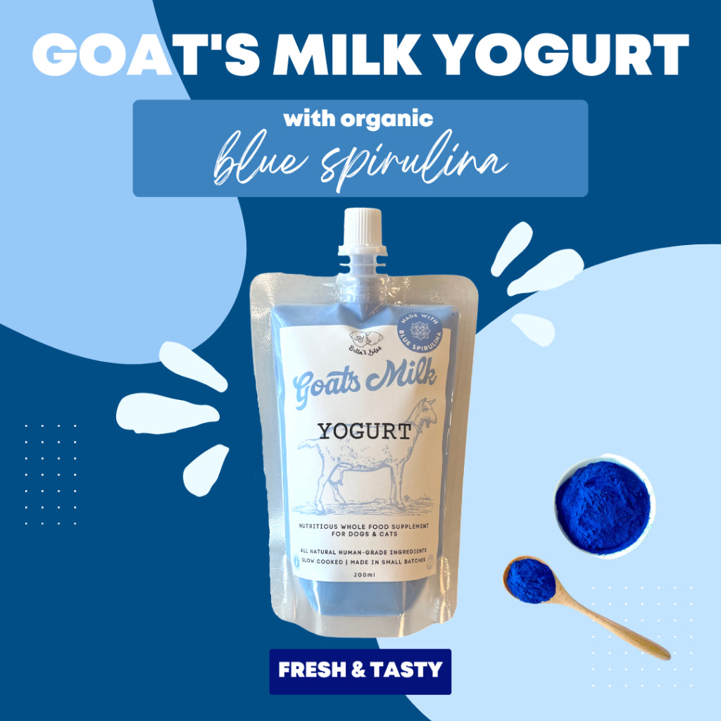 Goat's Milk Yogurt with Blue Spirulina