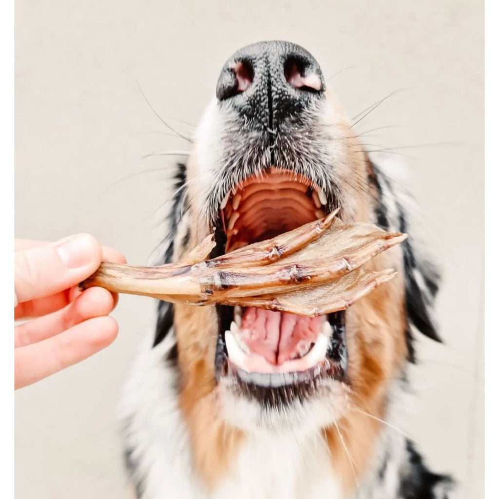 Air-Dried Duck Feet