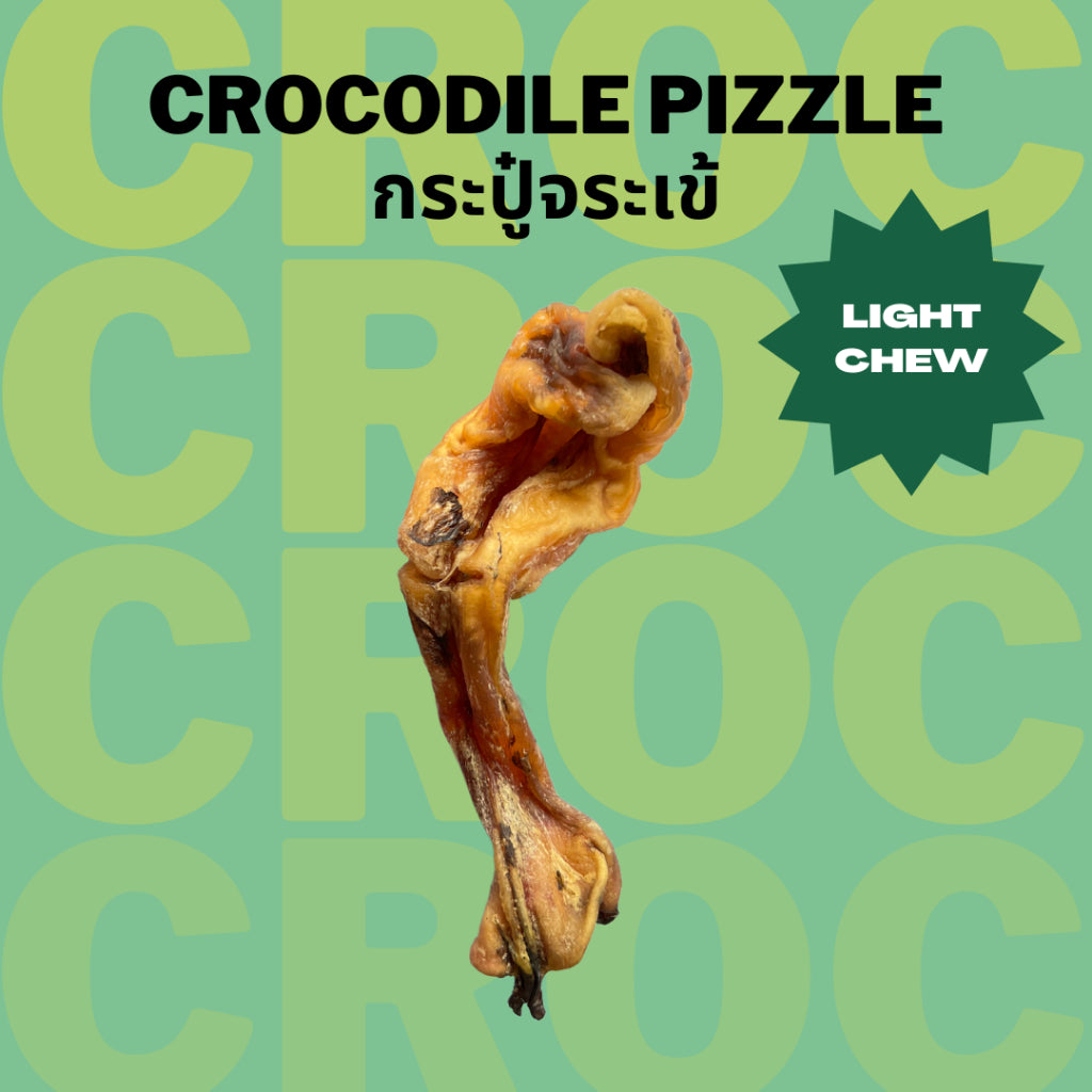 Crocodile Pizzle