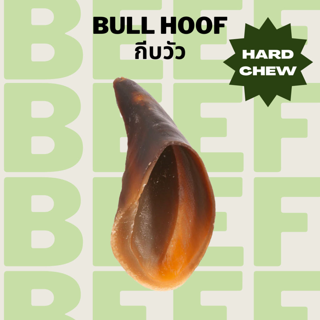 Bull's Hoof