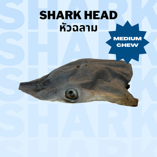 Shark Head