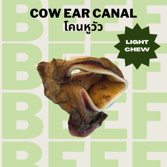 Cow's Ear Canal