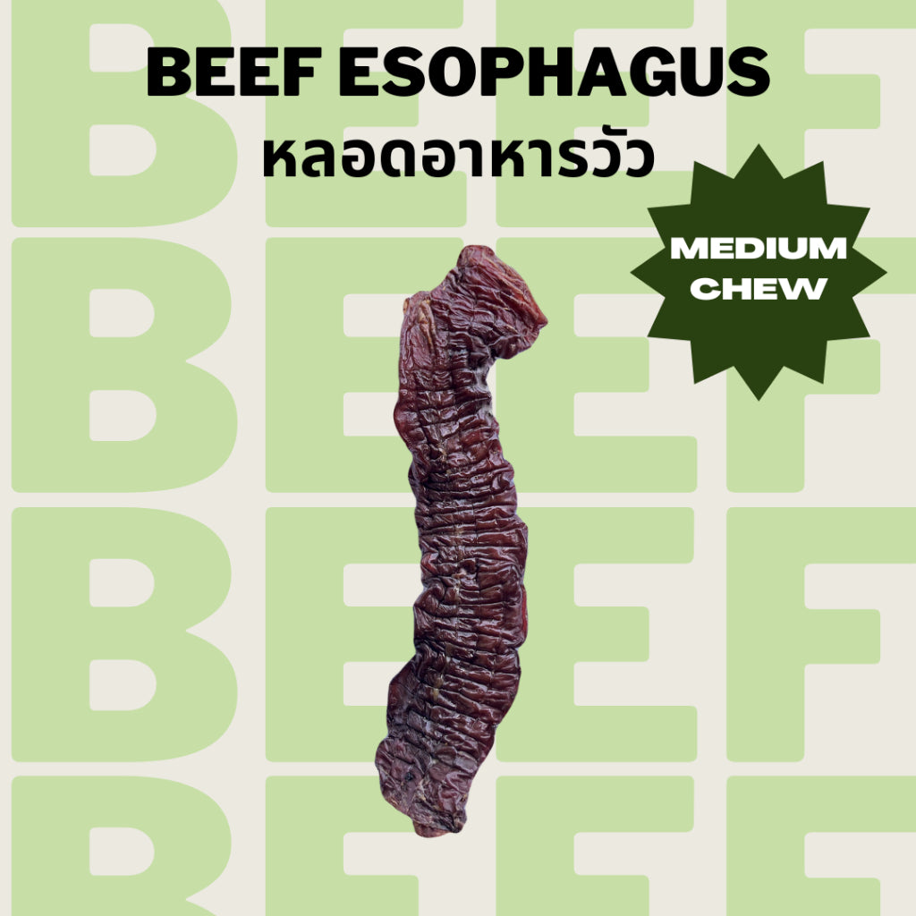 Beef Esophagus