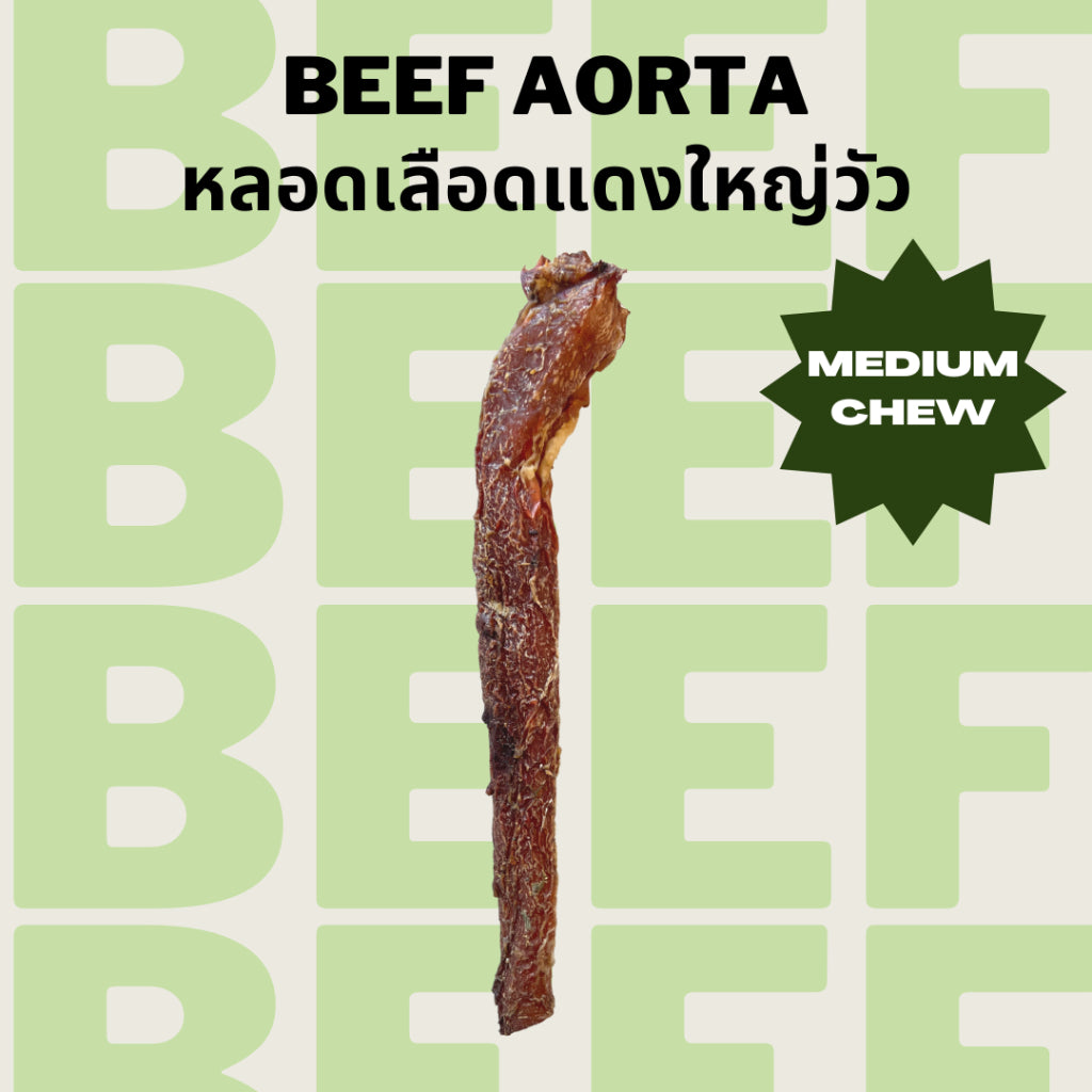 Beef Aorta