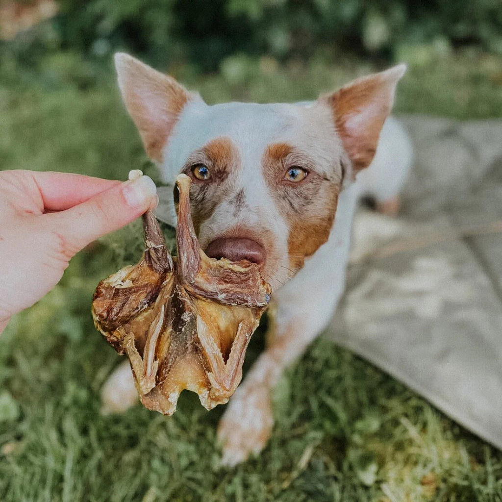 Whole Quail