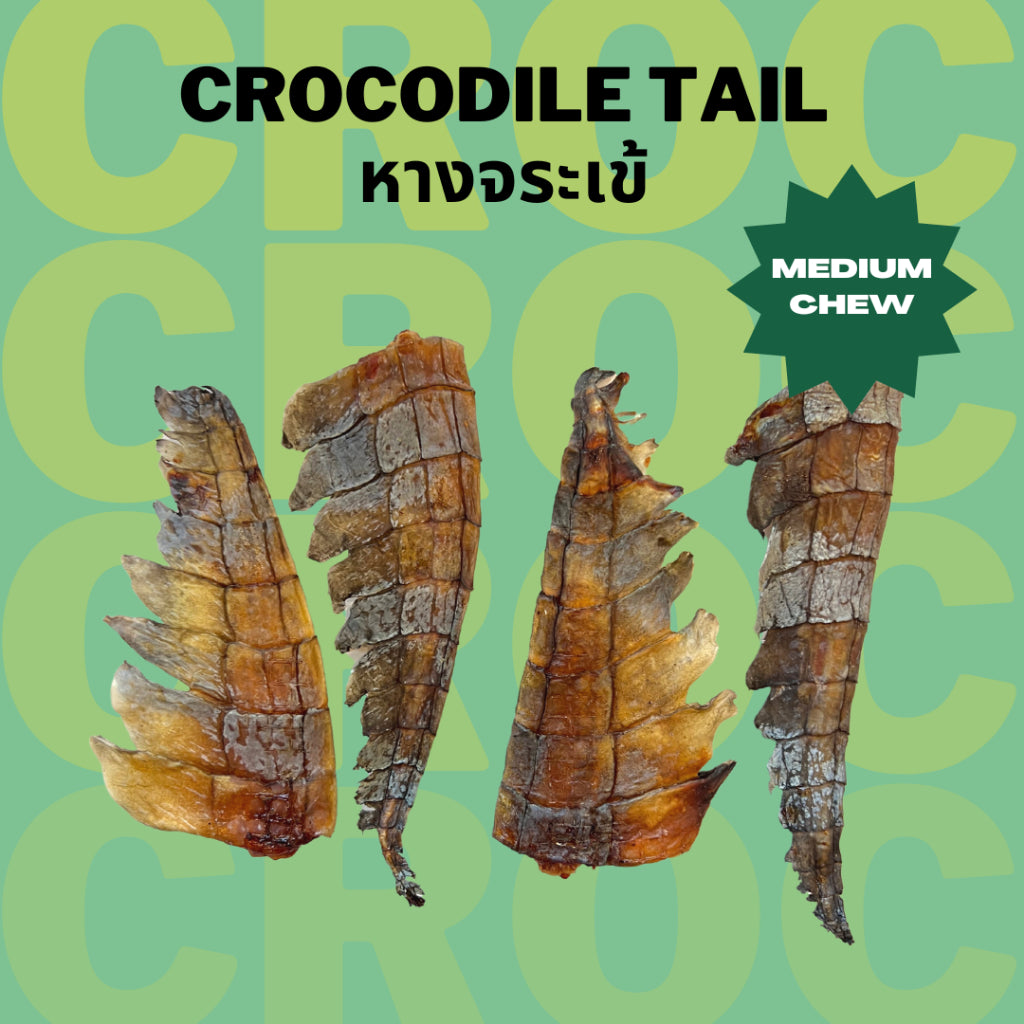 Crocodile Tail