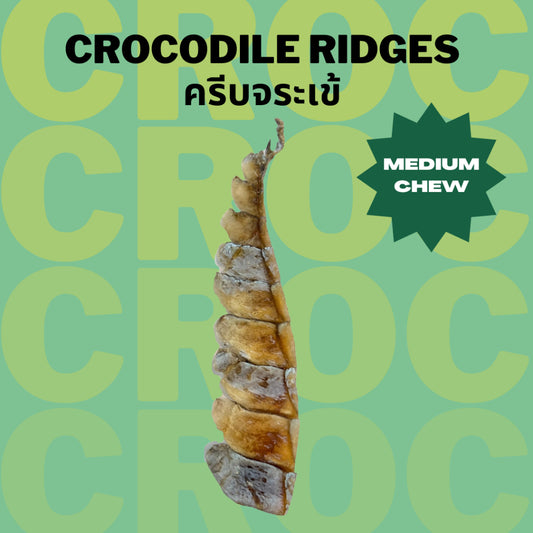 Crocodile Ridges