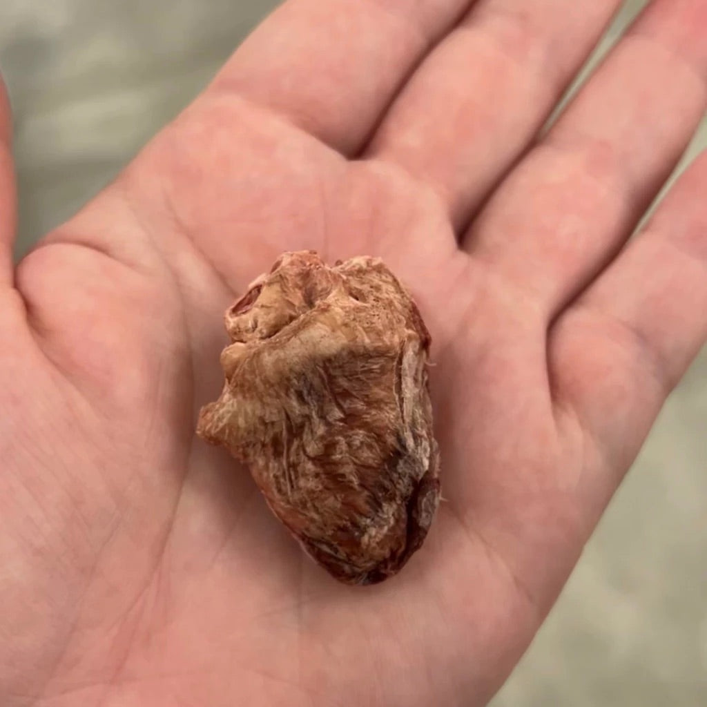 Freeze-dried Duck Hearts