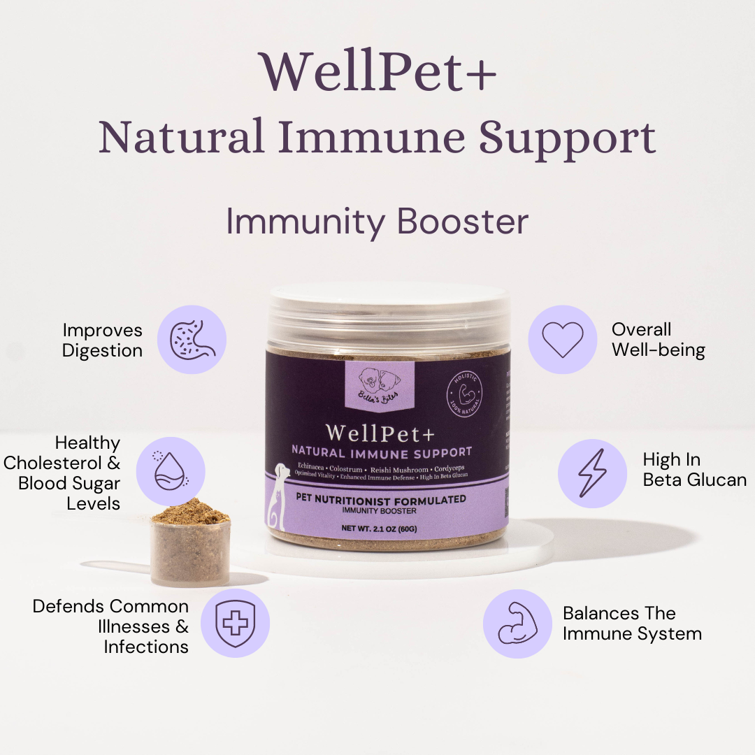 WellPet+ [Natural Immune Support]