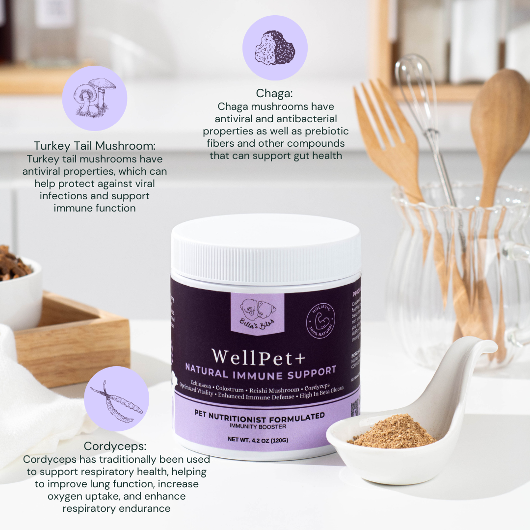 WellPet+ [Natural Immune Support]